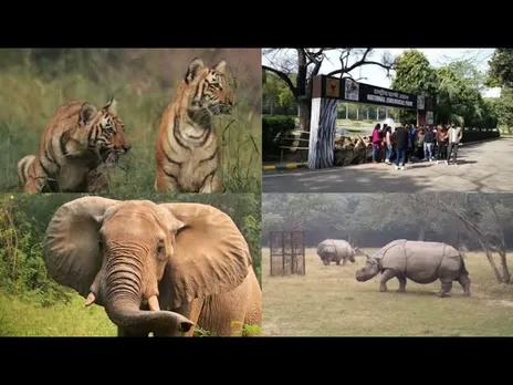 Evolution: उज्जैन में बनेगा चिड़ियाघर, टूरिज्म मैप पर होगी नई पहचान