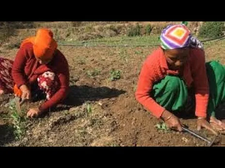 समग्र विकास: जनजातीय बाहुल्य गांवों में टिकाऊ खेती को बढ़ावा