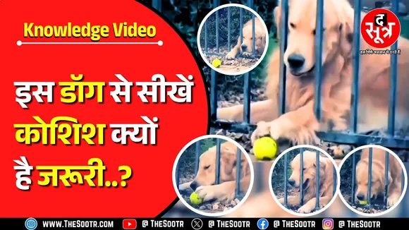 Knowledge Video | कठिन वक्त में धैर्य रखना और प्रयास करना क्यों जरूरी | Must Watch