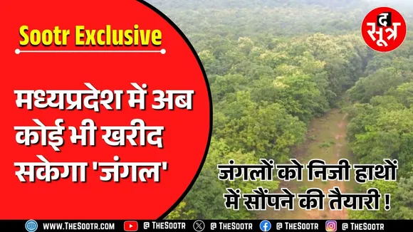 The Sootr Exclusive | MP में अब कोई भी ले सकेगा 'जंगल', सरकार का नया प्लान !