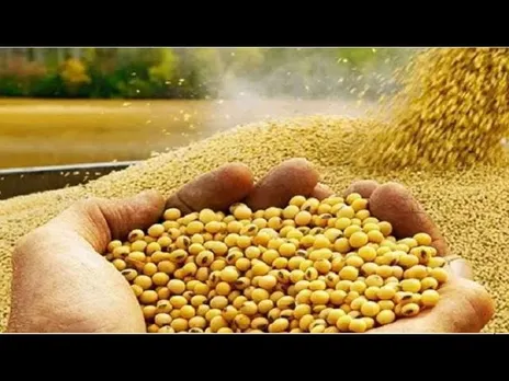 खुशहाल किसान: गेहूं पर दिया बोनस, एमएसपी पर खरीदा सोयाबीन