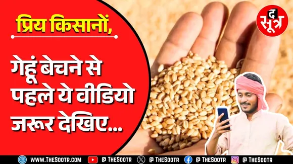 MP News | मध्यप्रदेश में किस जगह कब शुरू होगी गेहूं की खरीदी, तारीख आ गई