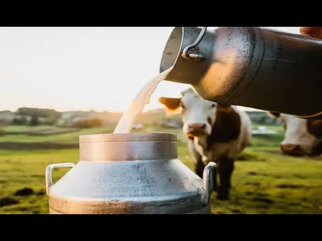 गौ संरक्षण: दूध के उत्पादन में देश में अग्रणी मध्यप्रदेश