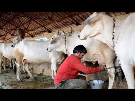 पशुपालन : पशुपालकों के लिए कई प्रावधान कर रही मोहन सरकार