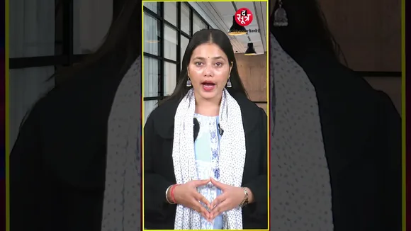 CS, IT डिग्री वालों को नौकरी के चांस सबसे ज्यादा, जॉब दिलाने में MBA की डिग्री पिछड़ी