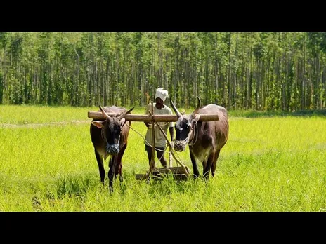किसान कल्याण: अन्नदाताओं को बदलते वक्त की जरूरतें बताएगी सरकार, प्रदेश में लगेंगे किसान मेले