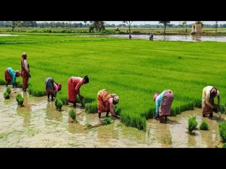 किसान कल्याण: खेती-किसानी को आगे बढ़ाने के लिए नए तरीके अपना रही मध्यप्रदेश सरकार