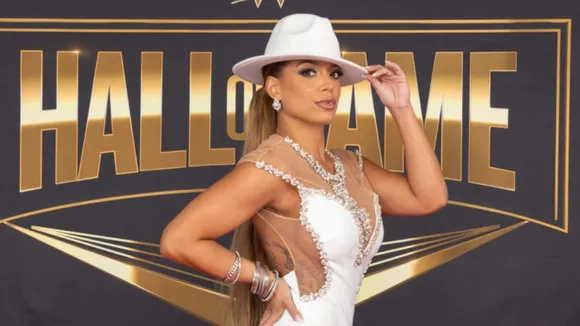 WWE releases another talented superstar (File Photo: Representational image/Internet)