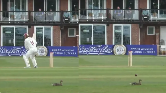 County (Source: X).png