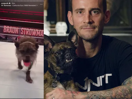 WATCH: CM Punk's dog Larry warms up inside the ring