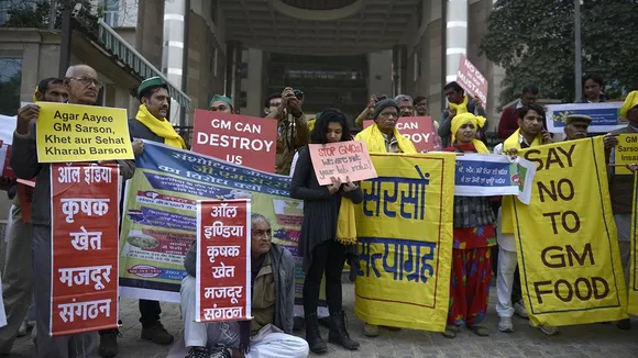 No deal? US pressures India to lower duties on both GM & natural crops