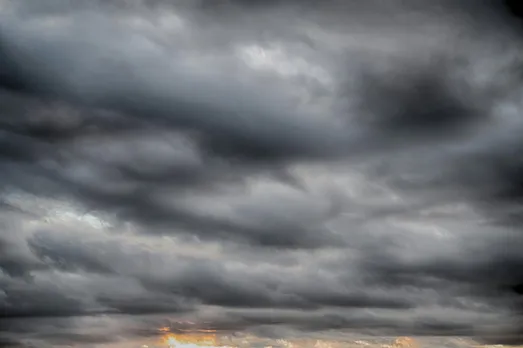 An above-average monsoon means a good harvest