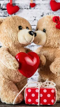 teddy day