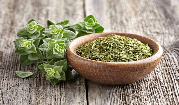 Amazing Benefits Of Using Greek Herb- 'Oregano' In Your Food