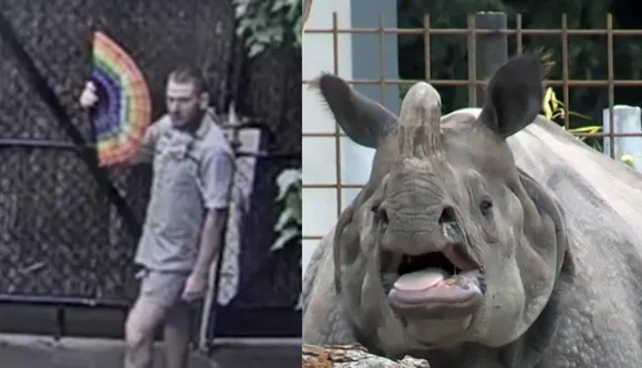 Watch: Melbourne Zoo Keeper's Sassy Af Dance Moves Going Viral