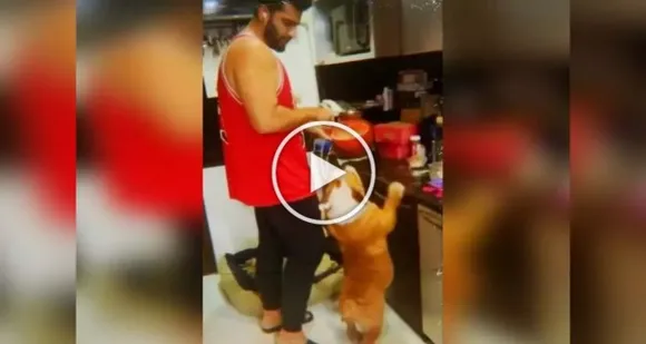 Arjun Kapoor's Dog Dancing With Him In The Kitchen Is A Must-Watch Video Today