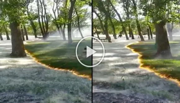 Unbelievable Fire Video: Big Fire That Didn't Burn Trees Or Wooden Benches