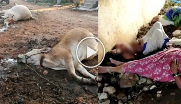 Heart-Breaking Painful Videos & Pictures Of Visakhapatnam Gas Tragedy