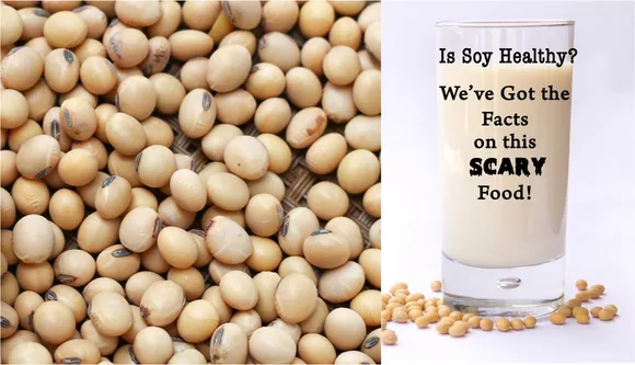 Is Soy Good Or Bad? Scary Facts About Soy That You’ve Never Heard Before