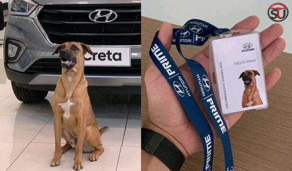 The Dog Who Waited Outside Hyundai Showroom Finally Gets An ID Card, See Pictures And Twitter's Reaction