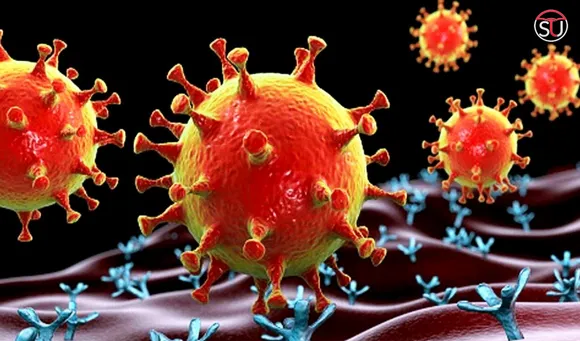 What Is NeoCoV and Why Scientists Are Afraid Of This New Covid Variant?