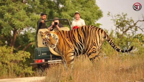 Kerala’s 10 Worth-Visiting National Parks And Wildlife Sanctuaries