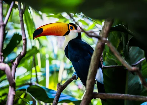 places to visit in alleppey