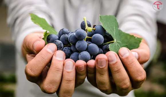 10 Surprising Benefits To Eat Black Grapes Daily