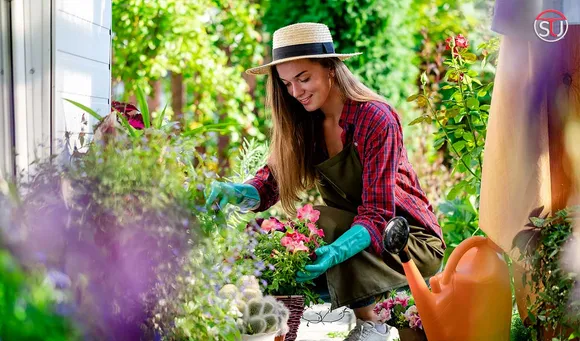 Budget-Friendly Garden Edging Ideas to Customize Your Yard