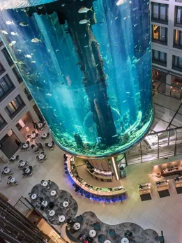 Vast Berlin Aquarium rapture: Home of 1500 tropical fishes