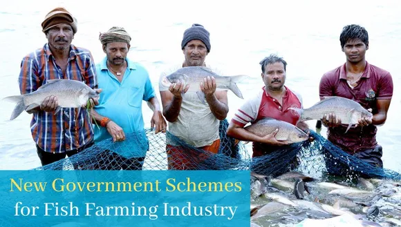 Govt. Shows Green Flag to Aquaculture Sector: Upcoming Investments for the Fish Farming Industry!!