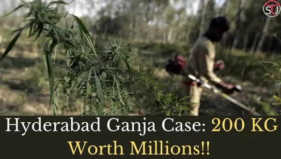 200 kgs Ganja Seized in Hyderabad: Story of Ganja That Travelled 900kms Just to Get Caught!!