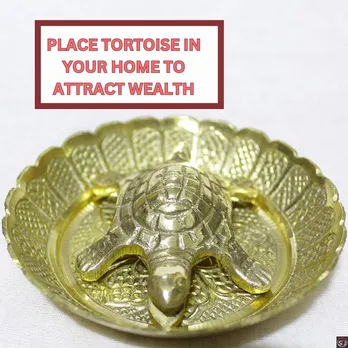 Tortoise Placement in Home as per Vastu Shastra and Feng Shui