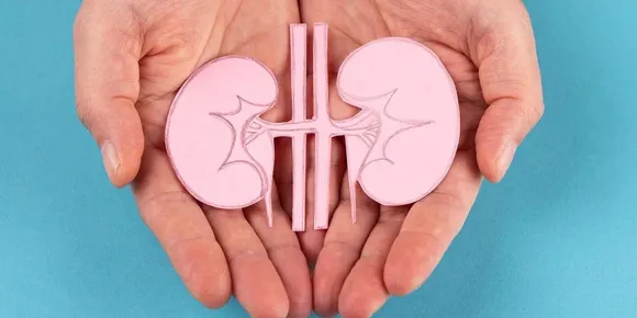 5 Healthy Habits That Will Give More life to Your kidney