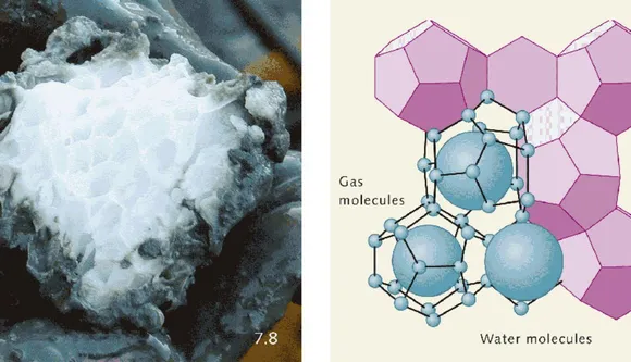 Alarming Release of Deep-Sea Methane Detected  by Single-Celled Organism