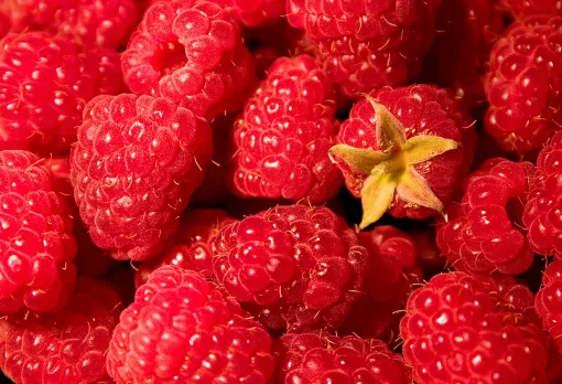 Raspberries : Sweety Berry Full Of Vitamins And Minerals,Read Here
