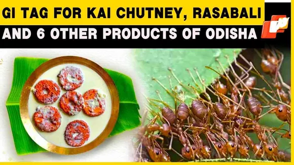 Odisha's Red Ant Chutney Gets GI Tag, All You Need To Know About This Food