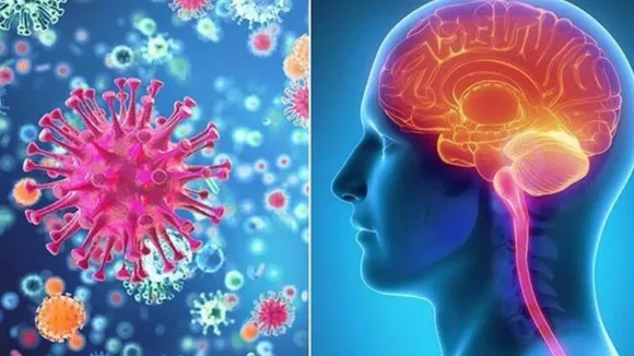 CDC Warning: Meningitis Bacteria Spreading in the USA Again