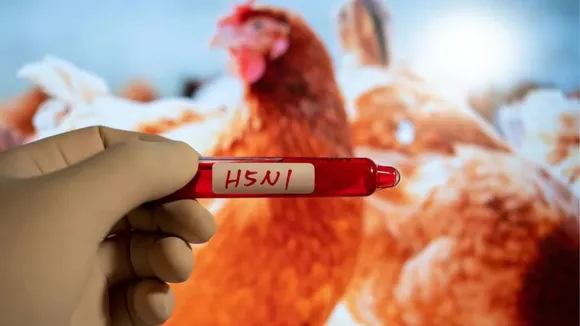 The Rising Case of H5N1 Influenza Virus: How World is Preparing Against It