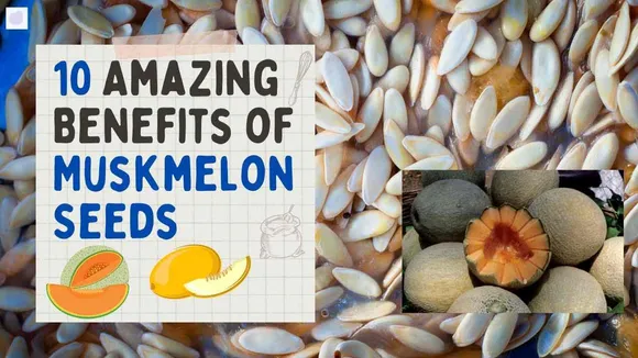 Amazing Health Benefits Of Muskmelon Seeds, How To Add Them In Your Diet To Get Major Benefits