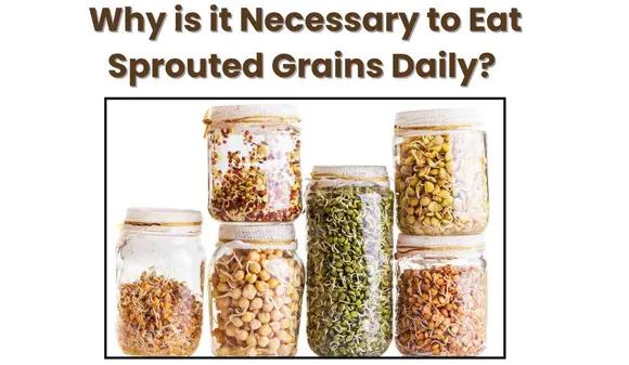 Why is it Necessary to Eat Sprouted Grains Daily? How and How Much to Eat ?