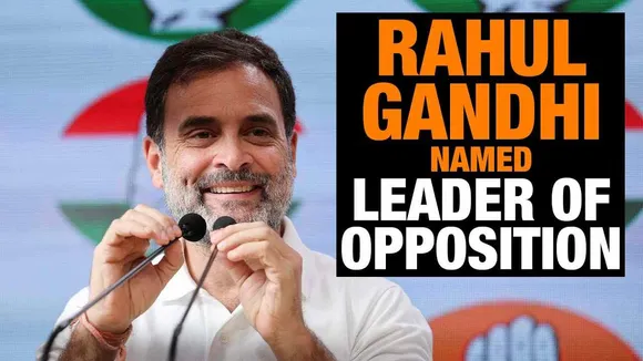 Rahul Gandhi Named as Leader Of Opposition, What Powers Will He Have In Lok Sabha? Know Here
