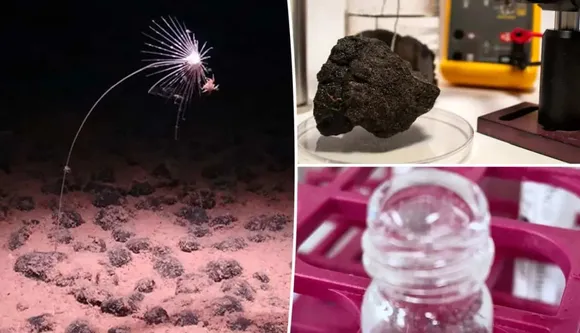 Dark Oxygen: A New Discovery Led to the Revolutionary Turn in the Theory of Evolution