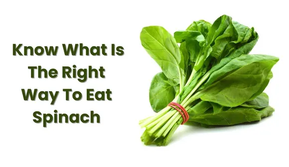 Consuming Spinach In These Ways Can Be Dangerous For Health, Know What Is The Right Way