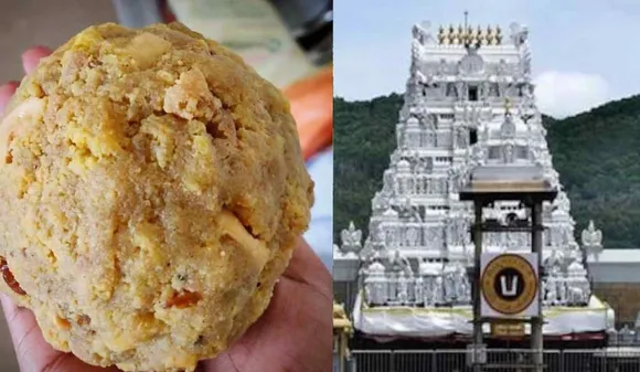 What is Beef Tallow, Animal Fat Allegedly Used in Tirupati laddu Prasad? 10 Updates on Tirupati laddu