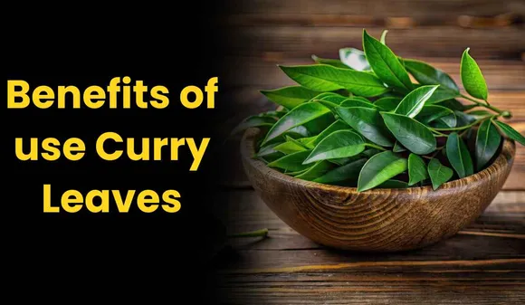 Curry leaves help control blood sugar, know how to use it