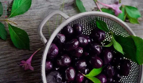 Purple Powerhouse: 6 Health Benefits of Jamun