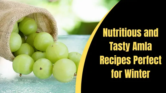 Nutritious and Tasty Amla Recipes Perfect for Winter