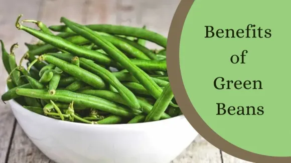 Benefits of Green Beans: Nutrition, Health Advantages & Best Ways to Eat