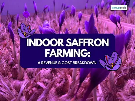 Indoor Saffron Farming